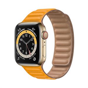 اپل واچ Apple Watch Edition Series 6